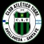 Escudo de Tigre